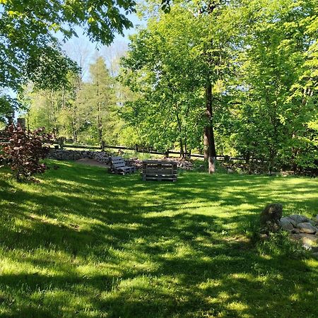 Villa Domecek Uprostred Prirody Krásná Lípa Exterior foto