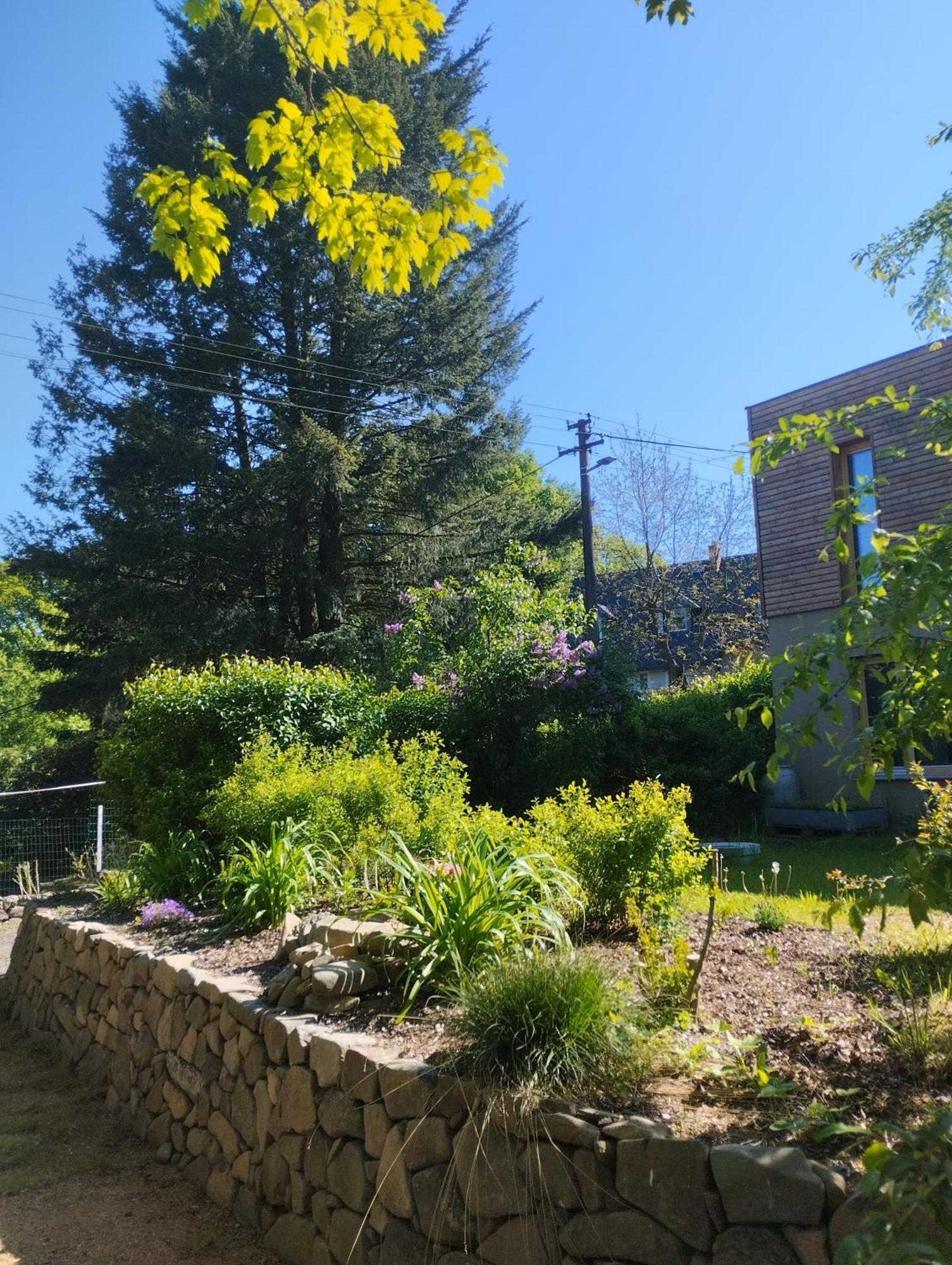 Villa Domecek Uprostred Prirody Krásná Lípa Exterior foto